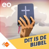 Luisteraarsvragen over bijna-doodervaringen, bizarre leeftijden, bijbelvervalsing, intuïtie of Heilige Geest, boekentips en niet gelovig, wel gered?