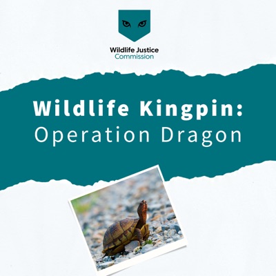Wildlife Kingpin