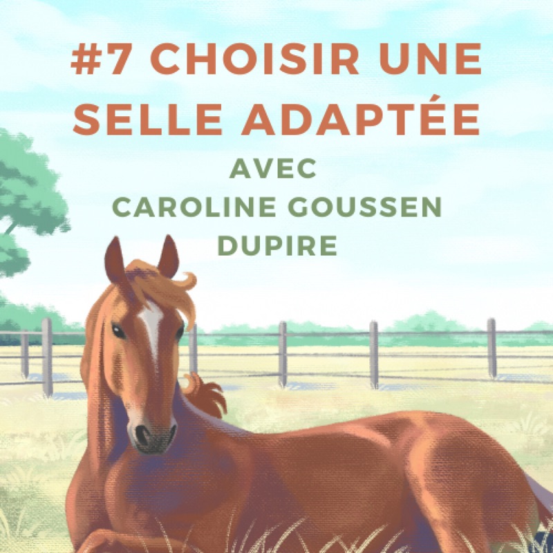 #7 Adapter ma selle à mon cheval, avec Caroline Goussen Dupire, saddle fitter