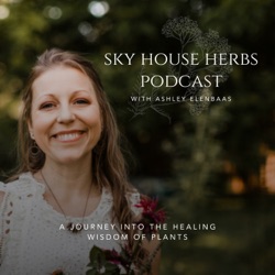 My Microdosing Adventure: A Clinical Herbalist's Perspective