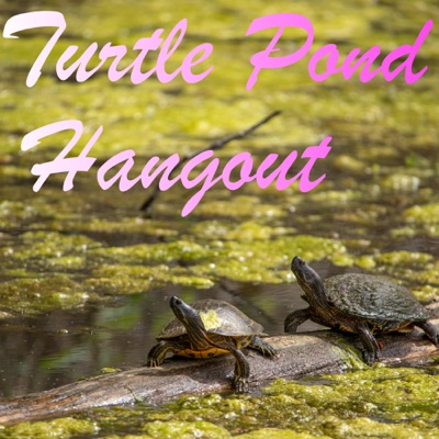 TURTLE POND HANGOUT