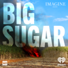 Big Sugar - iHeartPodcasts