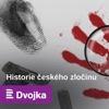 Historie českého zločinu