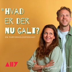 Hvad er der nu galt?