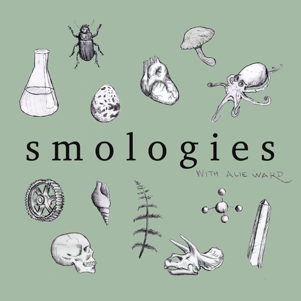Smologies #28: AGING with Caleb Finch photo