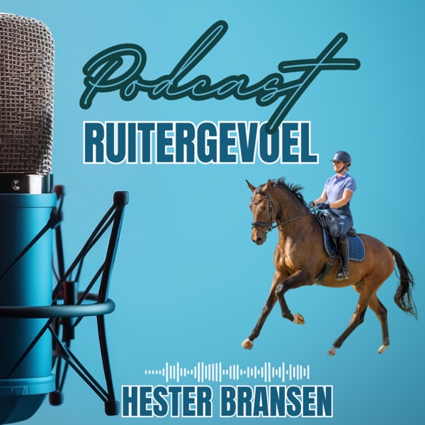 Ruitergevoel cover art
