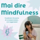 Mai dire Mindfulness