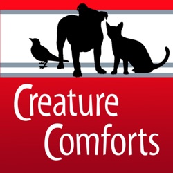 Creature Comforts | All Pet Day April 4, 2024