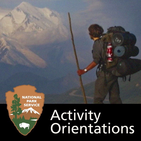 Activity Orientations