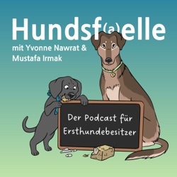 #94 -Sicherheit für Kind & Hund – mit klaren Regeln