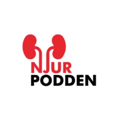 Torbjörn Lundgren – Att transplantera en njure – Avsnitt 4