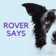 Rover Says