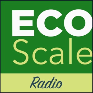 Eco Scale Radio