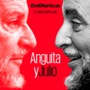 Anguita y Julio