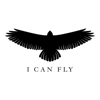 I Can Fly - I Can Fly Productions