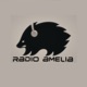 Radio Amelia