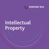 Intellectual Property