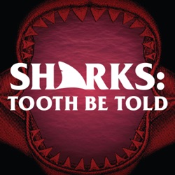 Sharks: Tooth Be Told