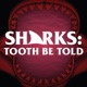 Sharks: Tooth Be Told