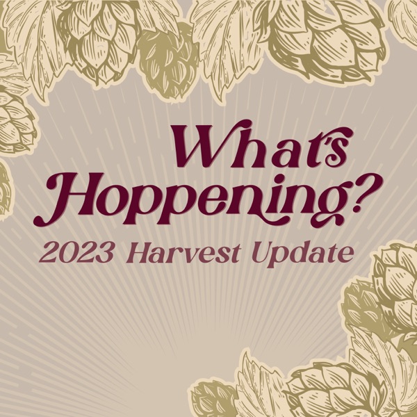 S.4 E.27 - What's Hoppening? 2023 Harvest Update photo