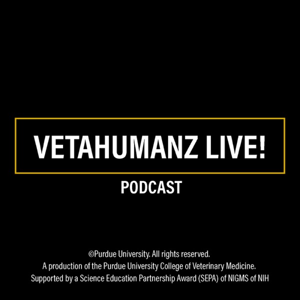 VetaHumanz Live! Artwork