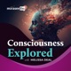 Consciousness Explored