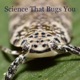 Science That Bugs You