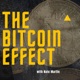 The Bitcoin Effect