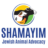 Shamayim: Jewish Animal Advocacy - Emma Goldblatt