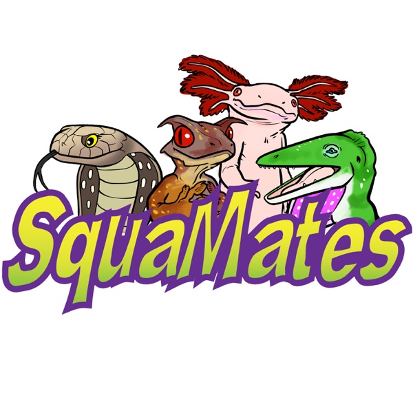 SquaMates