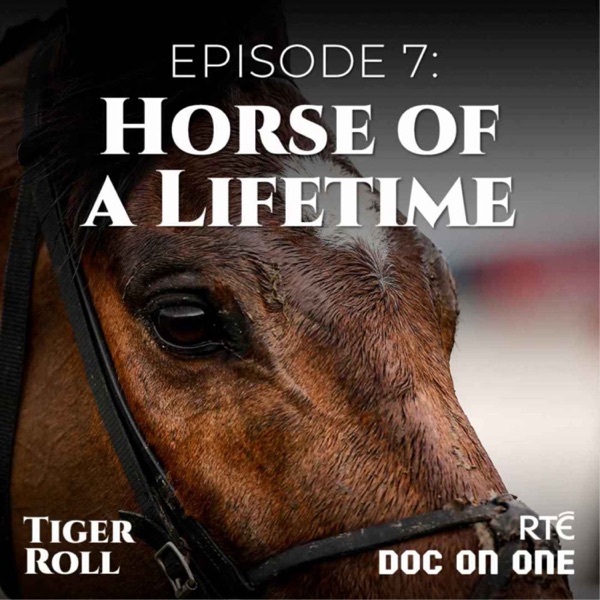 Tiger Roll, The People's Horse: 07 - Horse of a Lifetime photo