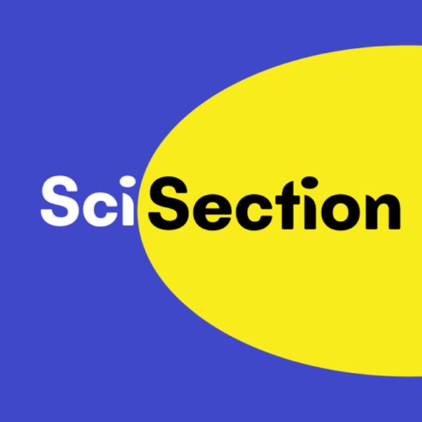 SciSection