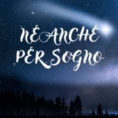 Neanche Per Sogno - Domenico Olivieri