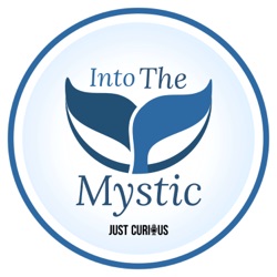 Into The Mystic: Tales From Hollywood East
