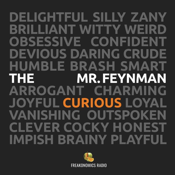The Curious Mr. Feynman photo