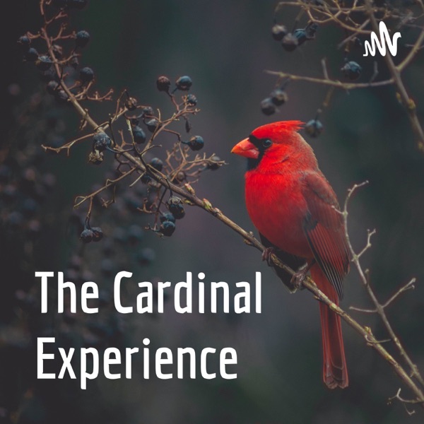 The Cardinal Experience