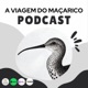 Ep. 125 | O projeto LIFE Aegypius Return, com Milene Matos