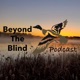 Beyond The Blind 