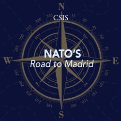 NATO After the Invasion