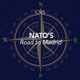 NATO after Madrid