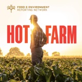 Future Ecologies presents: Hot Farm