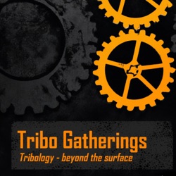 Tribo Gatherings