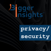 Bigger Insights Privacy & Security - Bigger Insights
