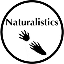 Naturalistics 025: Igniting the Naturalist Spark