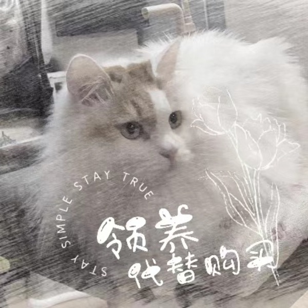 关爱流浪动物·领养代替购买