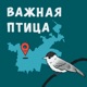 Важная птица