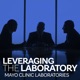 Leveraging the Laboratory