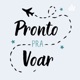 Pronto pra voar - Episódio 4 - Perrengues de viagens