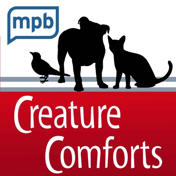 Creature Comforts Image