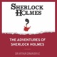 01 - The Adventures of Sherlock Holmes - A Scandal in Bohemia